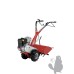 Lazer RTT 3  bakfrees 60 CM met B & S 6,5 PK