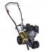  Masport Edger kantensnijder met B&S motor