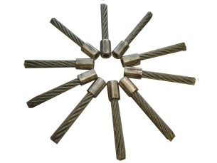 Tielbürger staalborstelset voor TW50 en TW50S TW50X