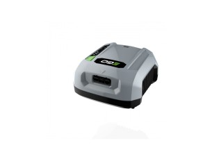 Ego CHX5500E Professionele Lader